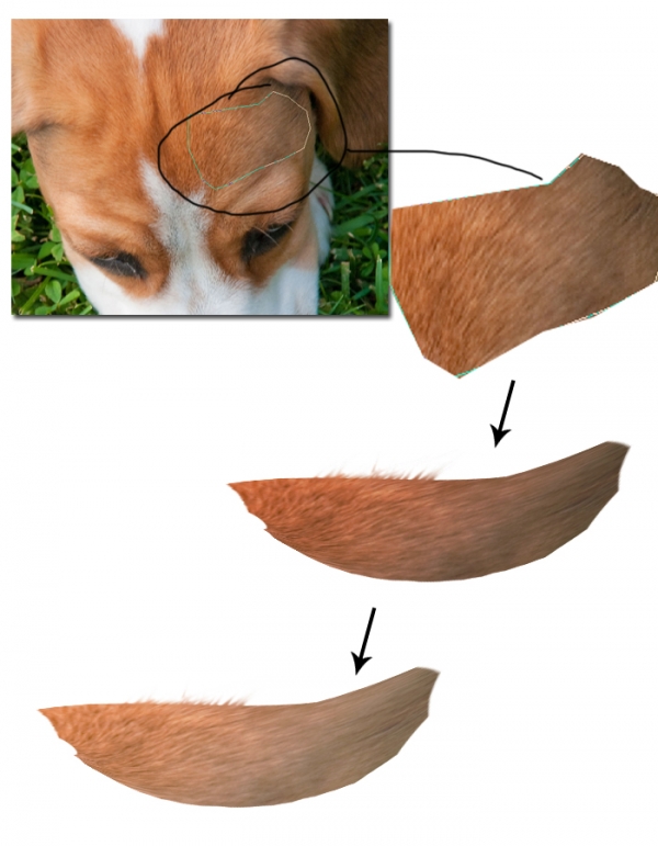 Creation of Breeze of Dawn: Step 1